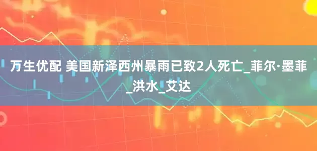 万生优配 美国新泽西州暴雨已致2人死亡_菲尔·墨菲_洪水_艾达