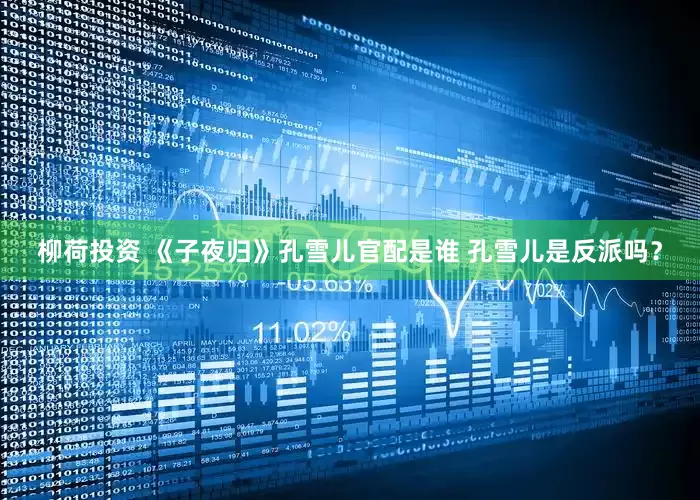 柳荷投资 《子夜归》孔雪儿官配是谁 孔雪儿是反派吗？