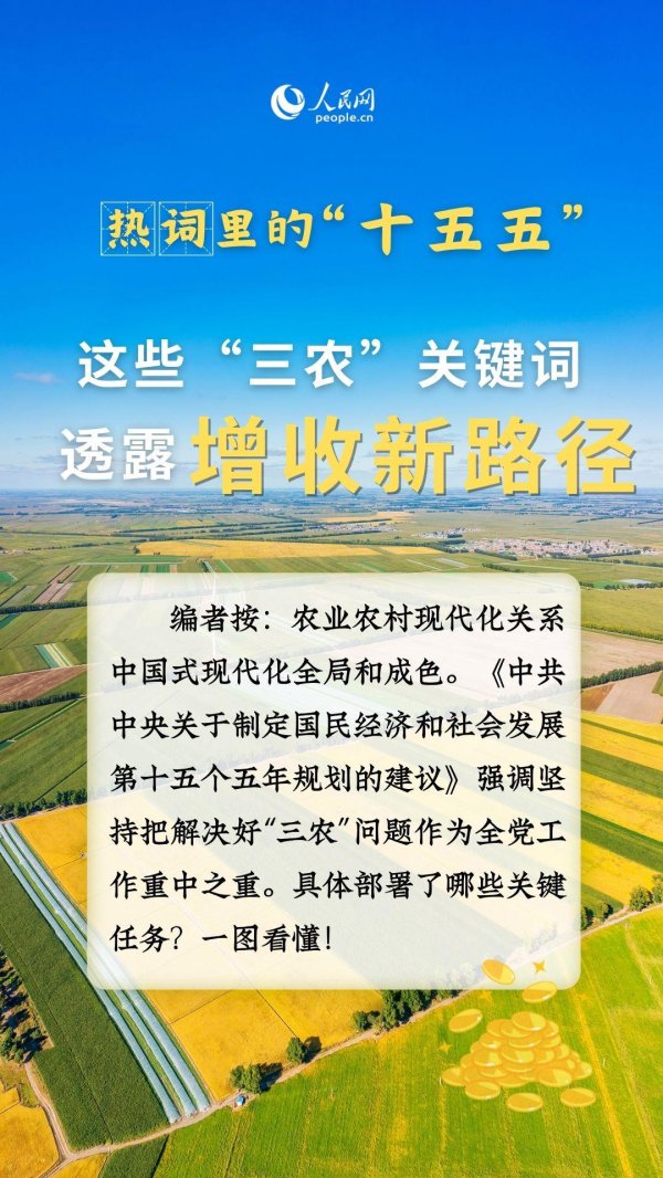 掌互通 热词里的“十五五”丨这些“三农”关键词，透露增收新路径